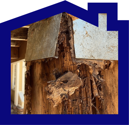 Dry Rot Repair in Shingle Springs, CA